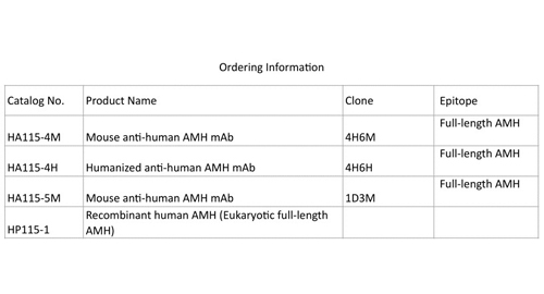 안티 인간의 AMH mAb