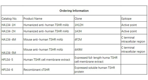 안티 인간의 TSHR mAb