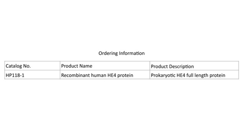 재조합형 HE4 단백질
